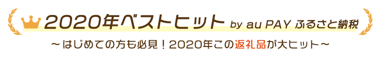 返礼品 2020年ベストヒット by auPAYふるさと納税~はじめての方も必見!2020年この返礼品が大ヒット~